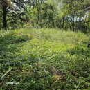 왕산2리 이미지