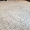 판교세탁 이미지