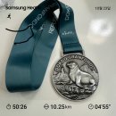 41호공원 | 2025 아이런 독도 그란폰도 10.25km 마라톤 후기