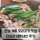 안성 계동 맛집 다오리 생오리로스구이 주말 점심으로 추천