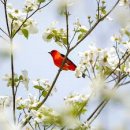 황지어린이집 이미지