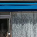 강아지미용실 이미지