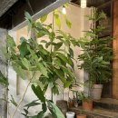 만복국밥 이미지