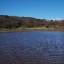 사라의 정원 이미지