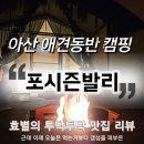 개꿀잼 애견카페 | 아산 포시즌발리 애견동반 가능 캠핑 리뷰; 댕댕이와 함께 떠나는 캠핑천국
