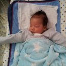 구루맘마 이미지