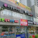 와와리 애견미용 이미지