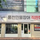 승승장어