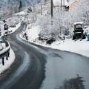 장미여인숙 이미지