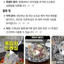 🥗샐러드🥗소스🥗 이미지
