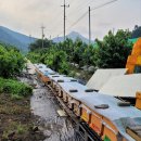 이상문농장 이미지