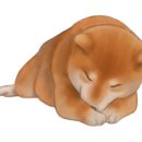 산청동물병원 이미지