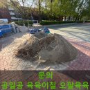 시흥경찰서어린이집 | 대학교 캠퍼스 보도블럭 교체, 실제 시공 후기와 사진