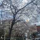 이비가(영통점) 이미지