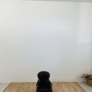 명곡종합상가 | 소봉 :육아 _ 내돈내산 전통돌상 옛날의자 아기돌사진 _ 너가나에게왔을때 스튜디오