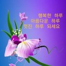 -새내기 교사의 죽음을 접하고 이미지