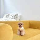 라온풀빌라 이미지