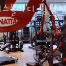 휘트니스 풀바디 이미지