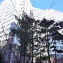 대림교통㈜ 이미지