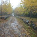 장성성산초등학교 이미지