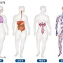 부산내과의원 이미지