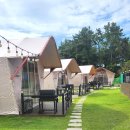 발해펜션 | 글램포레스트대부도, 경기근교 글램핑장추천, 내돈내산 솔직후기 A3예약