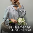 노란열쇠 | 셀린느 틴룰루 이너백 구매 후기, 수납력부터 코디 착샷까지