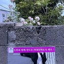 꽃덤불카페