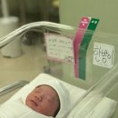 트리니움여성병원 | 세종 트리니움 여성병원 출산 후기(자연분만, 2인실)