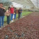 경희농원 이미지