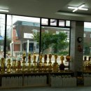 웰빙건강원 이미지