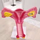 담 한의원 이미지