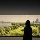 국립현대미술관 | 국립현대미술관 전시보고온 후기