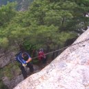 신원초교 이미지