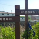 청림엔지니어링
