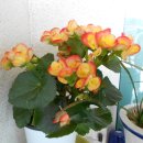 대마보건진료소 이미지