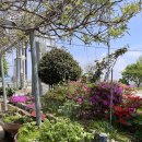 어성장어센타 | <해남맛집> 내돈내산! 어성장어센터 솔직 방문 후기