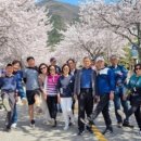 영광대마중학교 이미지