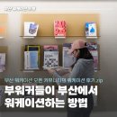 부 산 | 부워커들이 부산에서 워케이션 하는 방법 | 부산 워케이션 후기 모음