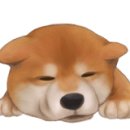 진천제림하나로 이미지