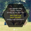 대불행정사 이미지