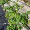 현재농장 이미지