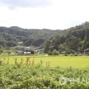 구리마을회관 이미지