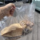 본조르노베이커리