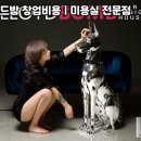 로이드마케팅