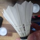 베스트원 | 배드민턴 셔틀콕 비교 후기 – 베스트원 301, 501, 500 사용해본 느낌