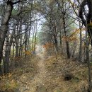 치목경로당 이미지