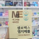 엠지컴퓨터
