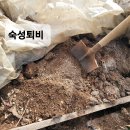 토종작물 재배하기 시작 - 3월에 심는 작물들 이미지