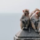 아이약국 이미지